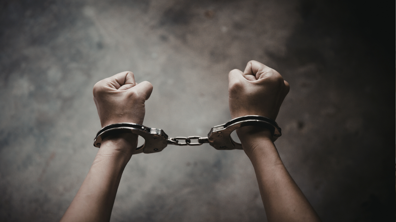 Uhapšen zbog prodaje prikolica sa lažnim VIN brojevima - Balkan Truckers US