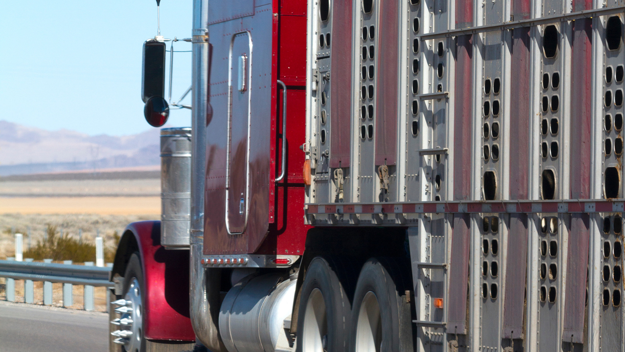Muškarac optužen za otmicu kamiona sa stokom i iznudu 20.000 dolara u Vašingtonu - Balkan Truckers US